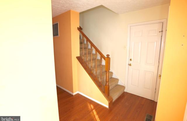 11541 SCOTTSBURY TERRACE Gallery 4