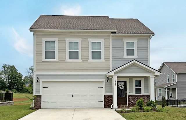 1247 Ross Farms Blvd photos photos