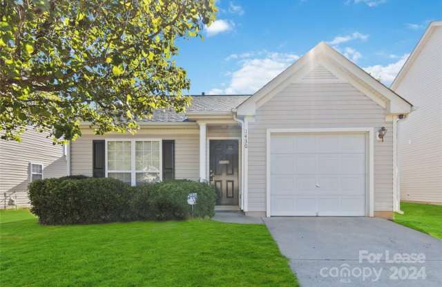 1430 Braveheart Lane - 1430 Braveheart Lane, Mecklenburg County, NC 28216