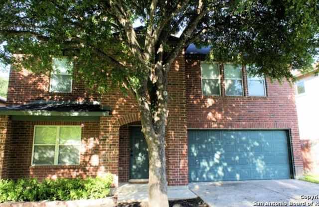 16910 BASIN OAK - 16910 Basin Oak, San Antonio, TX 78247