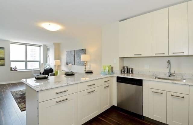 474 North Lake Shore Drive Gallery 2