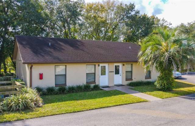 1056 S BUENA VISTA DRIVE photos photos