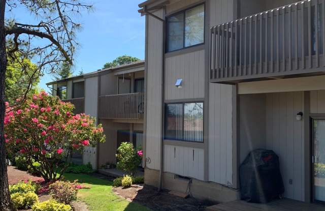 Hilltop Apartments Gallery 4