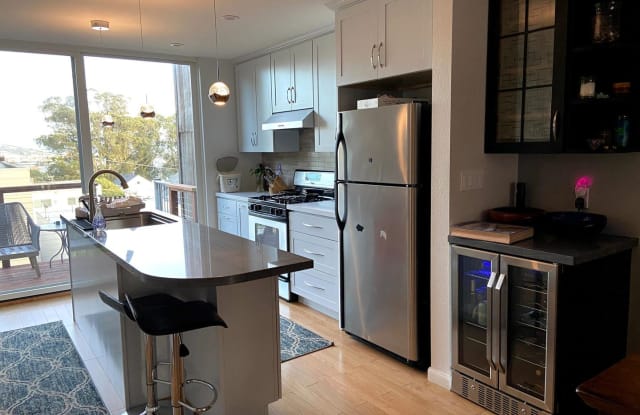107 Bache Street - 107 Bache Street, San Francisco, CA 94110
