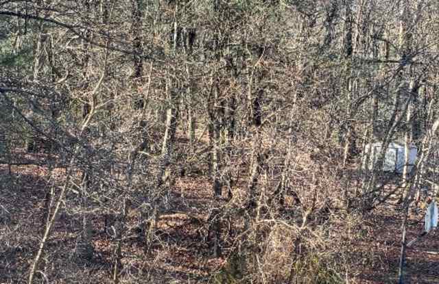 65 Newman Road - D photos photos