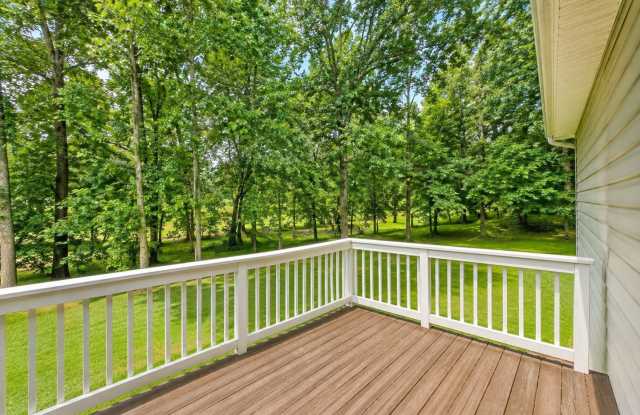 5 BEDROOM | 2 BATHROOM CAMPUS RENTAL Gallery 3