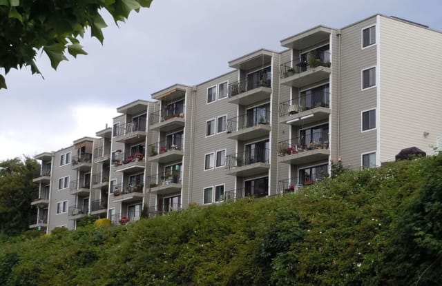 444 S State St #415 - 444 South State Street, Bellingham, WA 98225