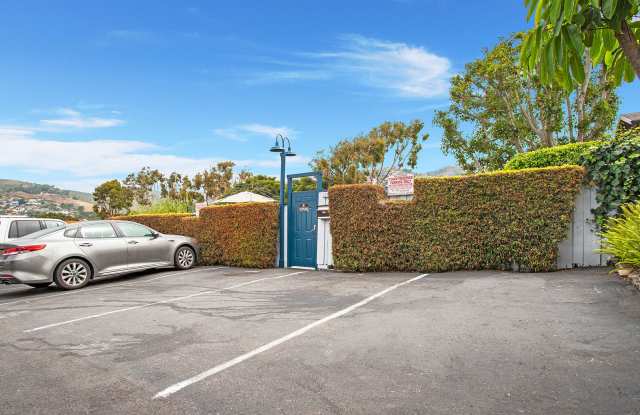 Centrally Located in the heart of Laguna Village Gallery 3