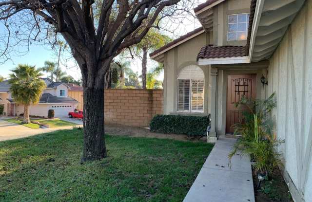 13443 Catalonia Ct Gallery 3