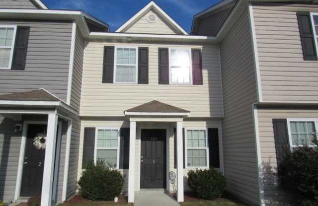 201-3 Lanieve Court - 201 Lanieve Court, Onslow County, NC 28539
