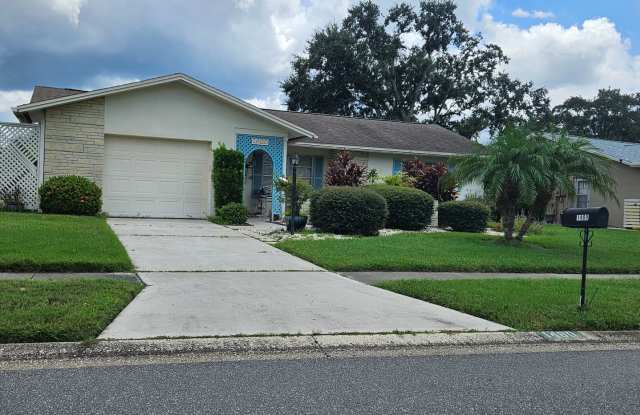 Beautiful 2 bedroom 2 bath home in Palm Harbor 55+ community! - 1480 Dundee Drive, Palm Harbor, FL 34684