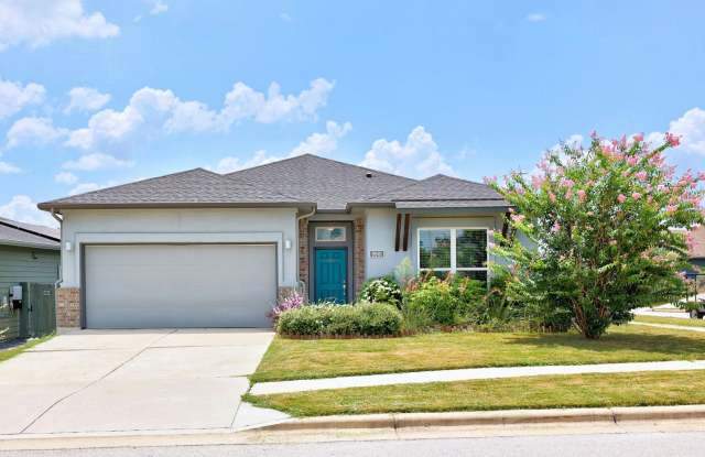 Amazing 3 bed 2 bath in Manor!!! photos photos