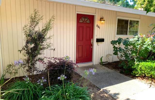 Beautiful Pleasanton 2 Bedroom, 1 Bath Condo - 841 Division Street, Pleasanton, CA 94566