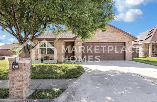 1322 Rio Grande St - 1322 Rio Grande Street, San Juan, TX 78589