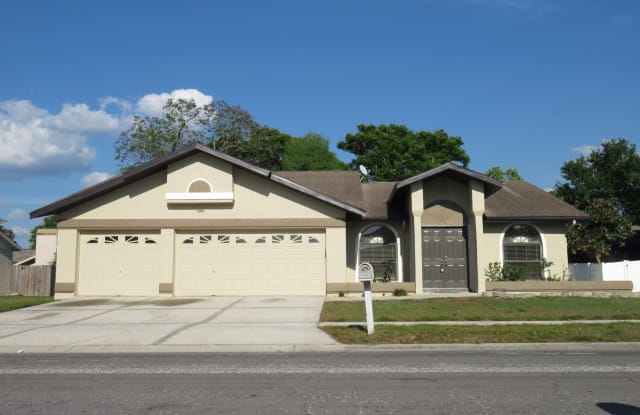 12918 Astorwood Place - 12918 Astorwood Place, Riverview, FL 33579