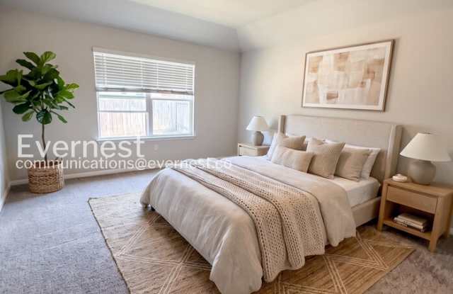 228 Sandhill Piper Street Gallery 4