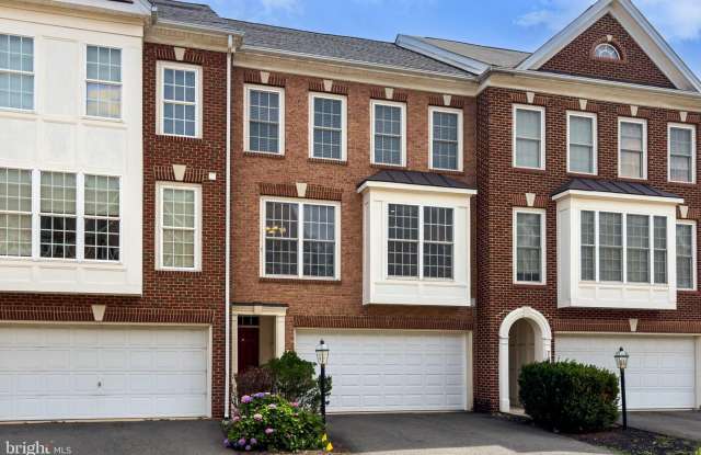 21776 LADYSLIPPER Square Gallery 3