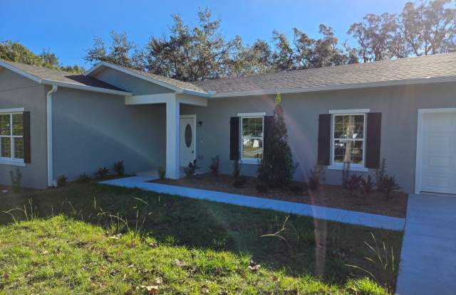 Brand New 3bed 2 bath Home - 162 Dover Lane, Volusia County, FL 32724