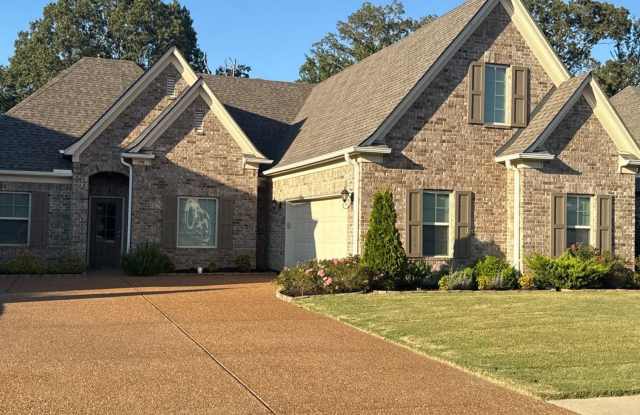 Beautiful 4 bedroom 2 bath home - Hernando, MS photos photos