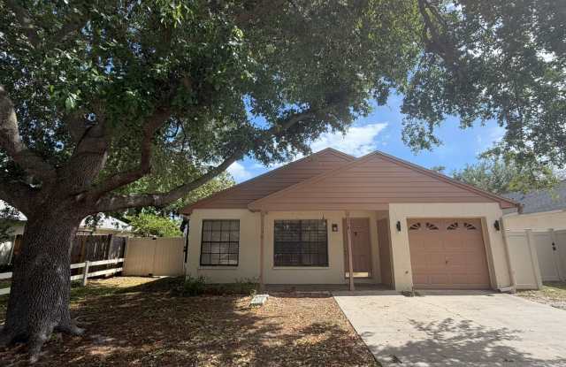 Pool Home in Palm Harbor photos photos
