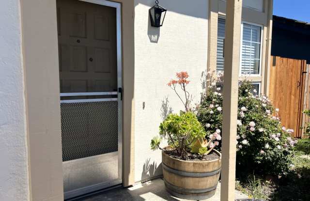 107 Bond Avenue photos photos