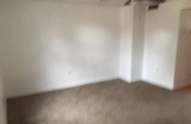 913 5th Gallery 2
