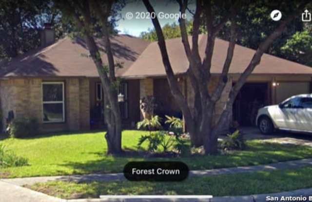 11005 Forest Crown - 11005 Forest Crown, Live Oak, TX 78233