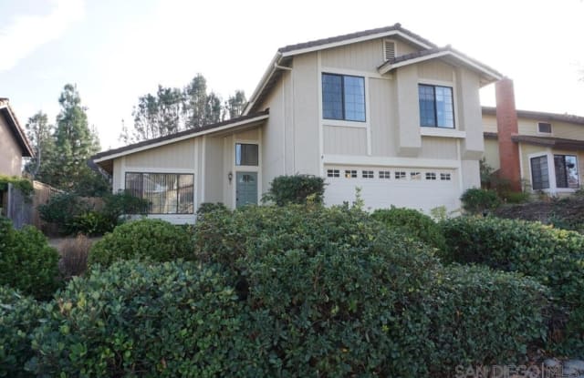 9029 Stargaze Avenue - 9029 Stargaze Avenue, San Diego, CA 92129