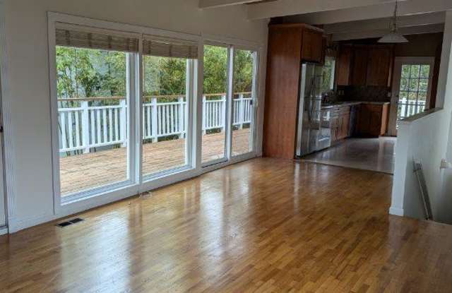 221 Blackpoint Lane - 221 Blackpoint Lane, Twin Lakes, CA 95062