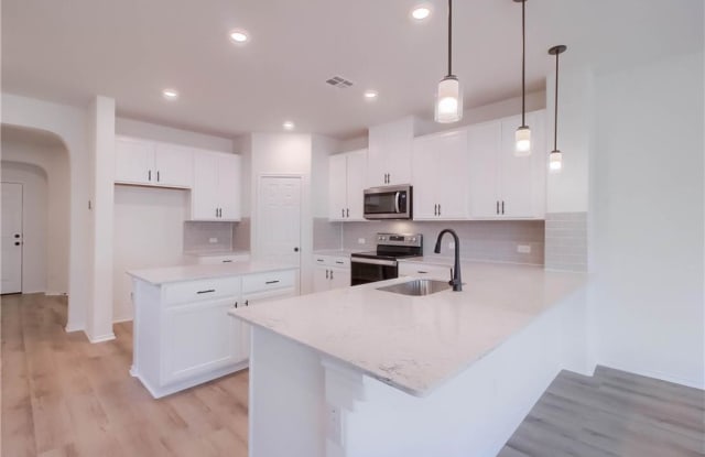 17323 Treehorn Ranch RD - 17323 Treehorn Ranch Drive, Pflugerville, TX 78664