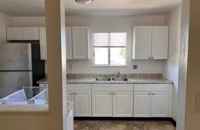 Oak Tree photos photos