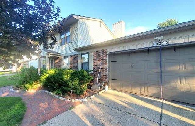 40225 Oak Tree photos photos