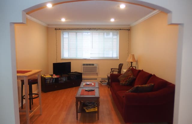 1243 N Washington St Apt 306 - 1243 North Washington Street, Denver, CO 80203