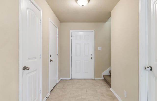15243 Cinnamon Teal Gallery 2