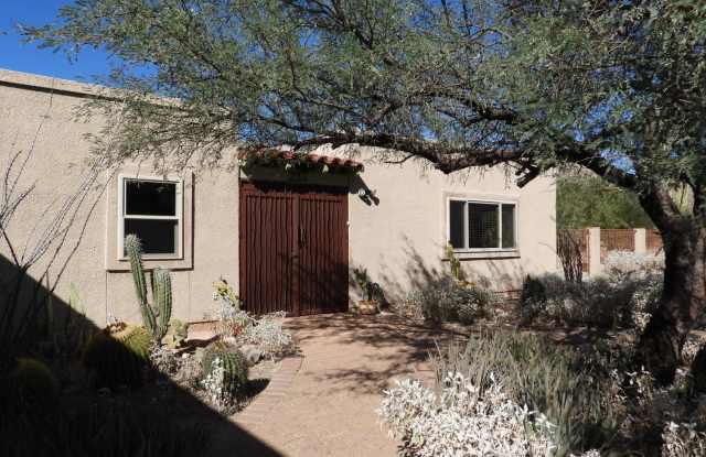 11917 E Makohoh Trl - 11917 East Makohoh Trail, Tanque Verde, AZ 85749