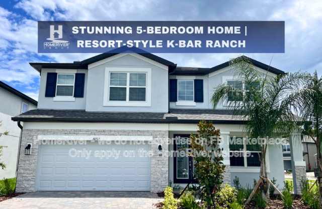 10701 New Morning Dr - 10701 New Morning Drive, Tampa, FL 33647