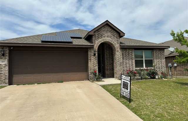 437 Hayes Street - 437 Hayes Street, Lavon, TX 75166