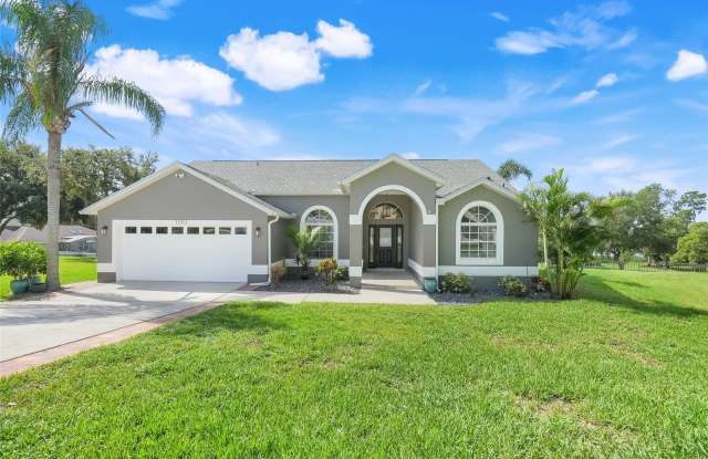 11313 LEMAY DRIVE - 11313 Lemay Drive, Lake County, FL 34711