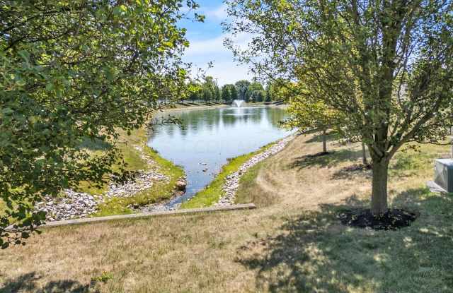5194 Dry Creek Dr Gallery 3