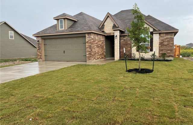 Welcome home to this beautiful, brand-new single-story home in the desirable Lake Pointe community! Gallery 4