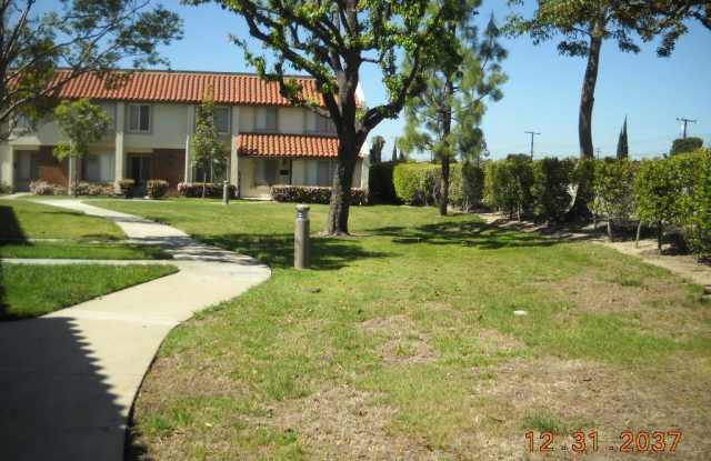 4521 Trevino Way Gallery 4