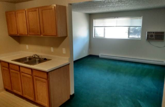 1 bedroom 1 bathroom bottom floor downstairs apartment - Granvue Apartments photos photos