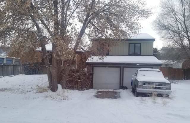 119 Park Street - 119 Park Street, Gypsum, CO 81637