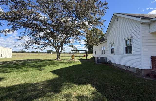 8097 Carolina 97 Gallery 2