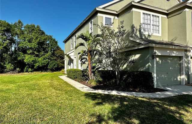 1030 VISTA CAY COURT - 1030 Vista Cay Court, Brandon, FL 33511