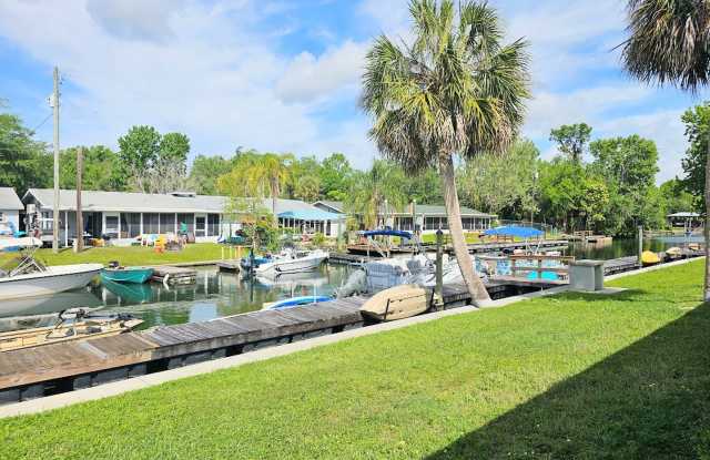 Experience the Ultimate Crystal River Getaway! photos photos