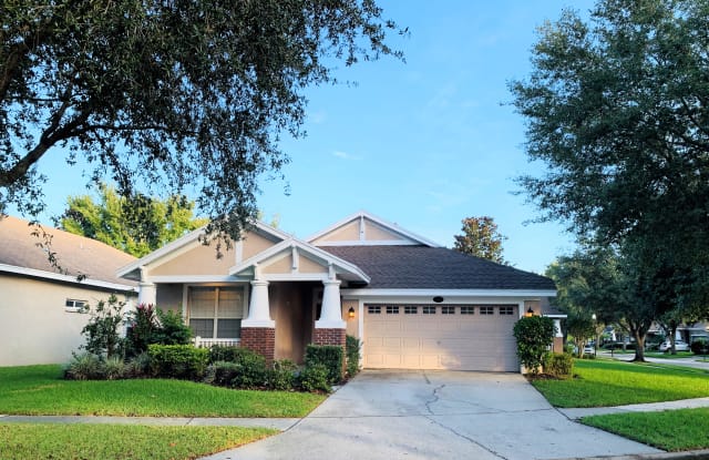 5025 Torrey Hills Ln - 5025 Torrey Hills Ln, Cheval, FL 33558