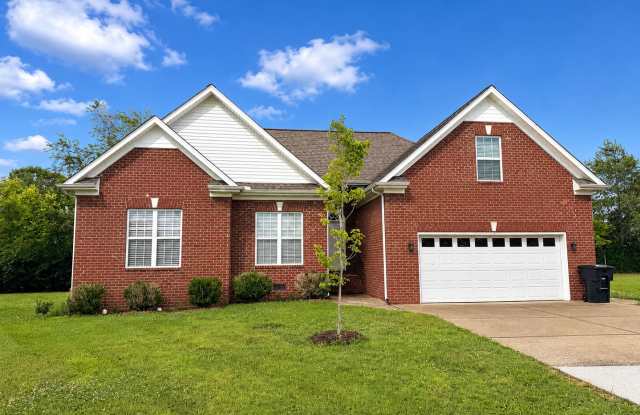 Spacious 3 BR 2 Bath + Bonus in Cul de Sac in Murfreesboro! photos photos
