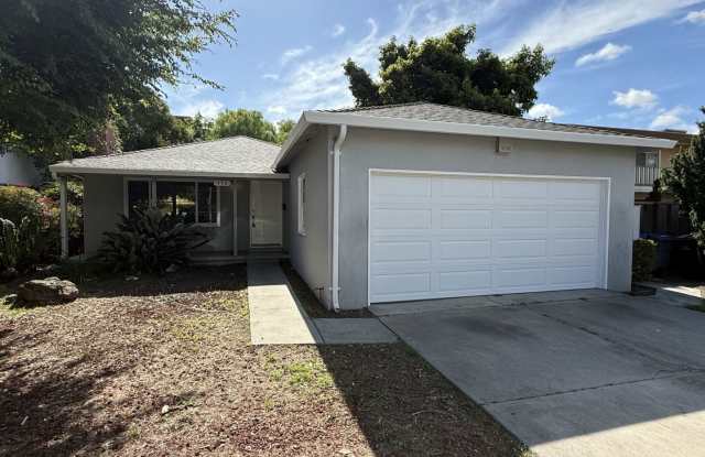 Single level 3 bedroom, 1 bath home with new flooring and paint - available now! photos photos