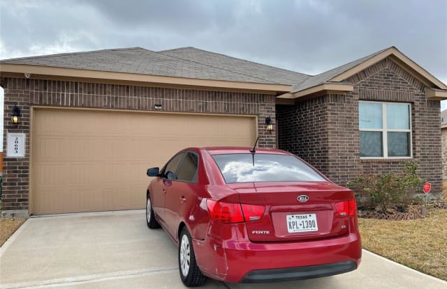 20603 Petunia Peak Street - 20603 Petunia Peak St, Harris County, TX 77449